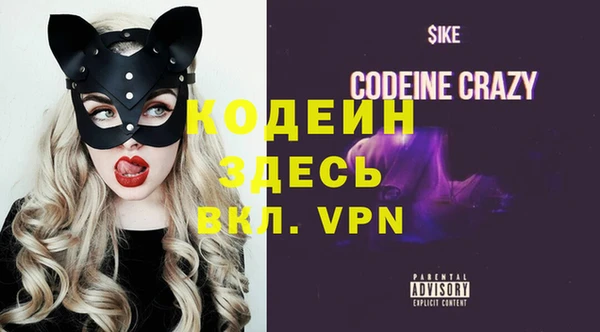 шишки Карпинск