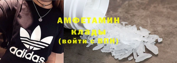 шишки Карпинск