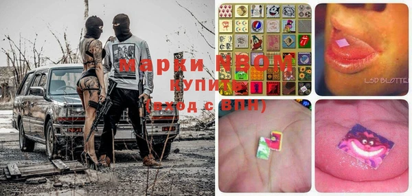 шишки Карпинск