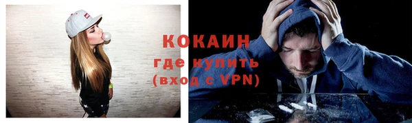 шишки Карпинск