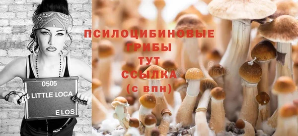 спайс Киренск