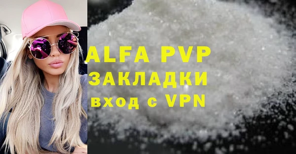 шишки Карпинск