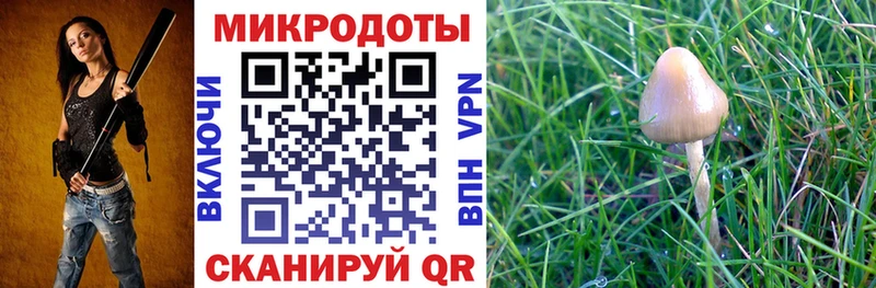 Галлюциногенные грибы MAGIC MUSHROOMS  Купить закладки  Печоры 